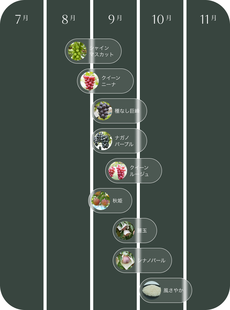 取扱品種と収穫時期